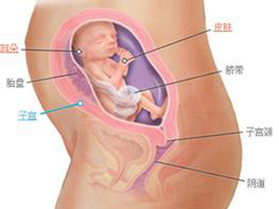 子宫发育不良能怀孕吗